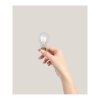 Lucide A60 filamentová LED žárovka Ø 6 cm E27 1x5W 2700K průhledná