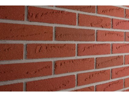 Elastolih Elabrick cihlovy obklad Oregon 50x210 99401 1