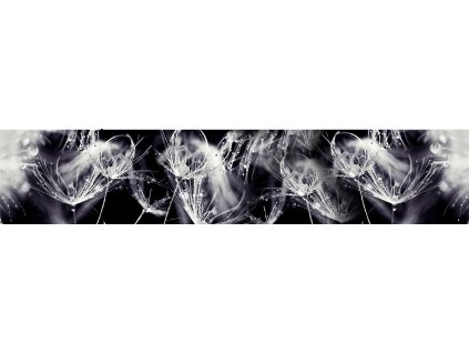 vyr 4567 Dandelions BW