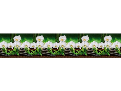 vyr 1081 bila orchidej