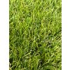 Umělá tráva LANO EASY LAWN BOTANIC