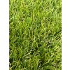 Umělá tráva LANO EASY LAWN CASTOR
