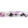 vyr 1954 orchideje a motyli