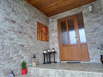 standart varicolor vaspo 002