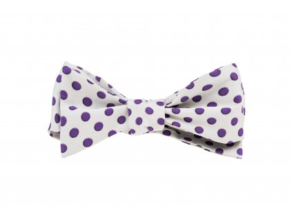 Bílý motýlek s fialovými puntíky