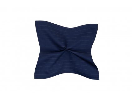 Tmavě modrý kapesníček s proužkem