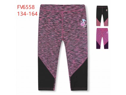 FV6558