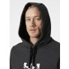 Pánská mikina HELLY HANSEN 30361 980 ARCTIC OCEAN HOODIE (velikost M)