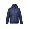 AULP STANN NAVY 01 prevod
