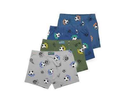 CHLAPECKÉ TRENKY - BOXERKY FOTBAL