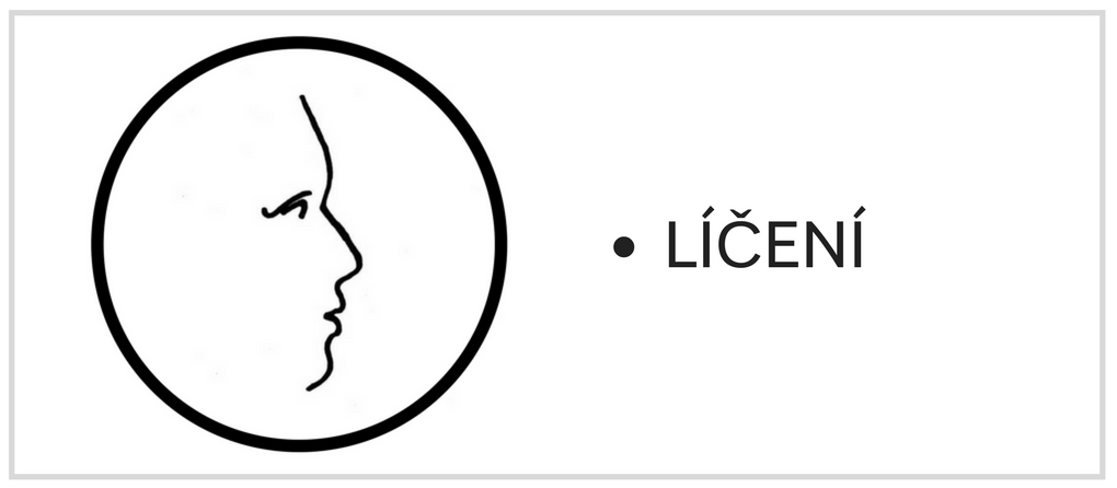 LÍČENÍ