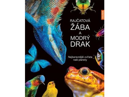 Rajčatová žába a modrý drak