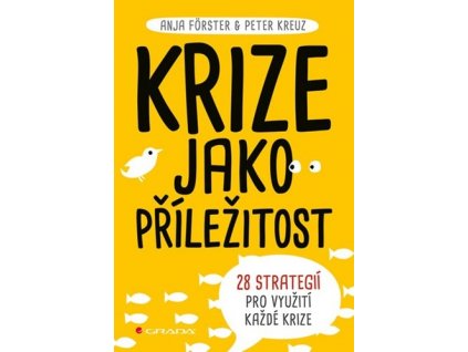 Krize jako příležitost