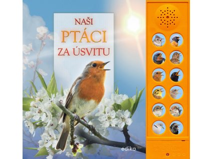 Naši ptáci za úsvitu