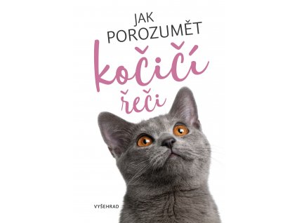 Jak porozumět kočičí řeči