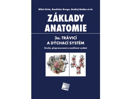 Základy anatomie