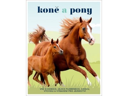 Koně a pony