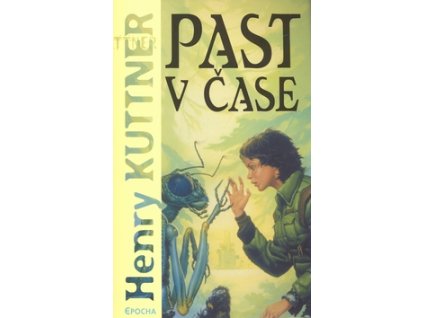 Past v čase
