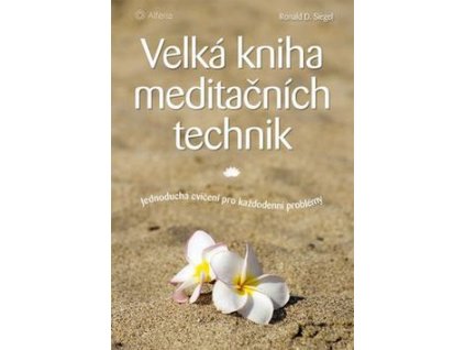 Velká kniha meditačních technik