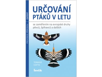 Určování ptáků v letu