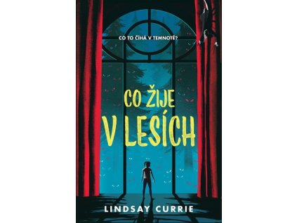Co žije v lesích