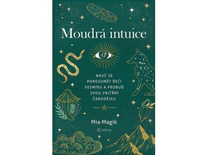 Moudrá intuice