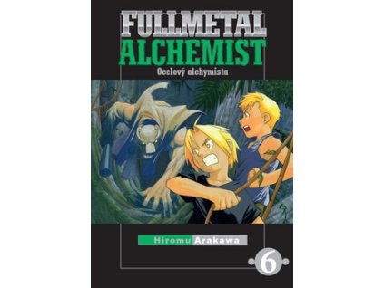 Fullmetal Alchemist 6