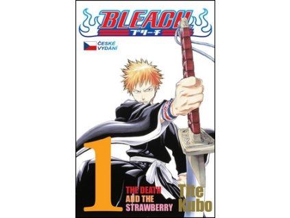 Bleach 1