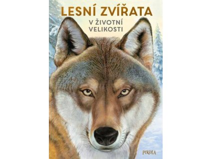 Lesní zvířata v životní velikosti