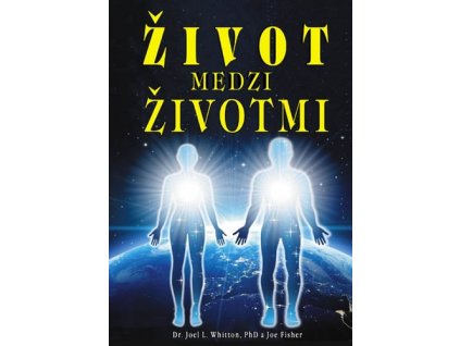 Život medzi životmi