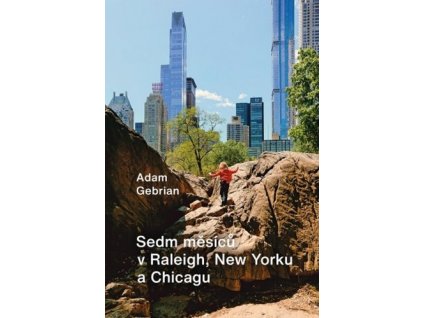 Sedm měsíců v Raleigh, New Yorku a Chicagu