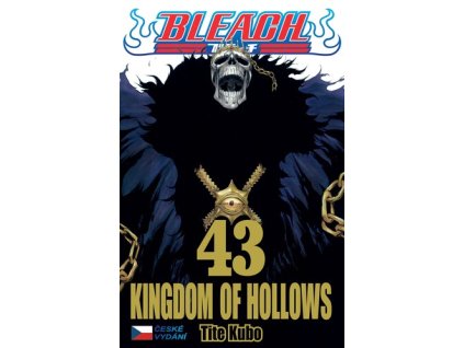 Bleach 43