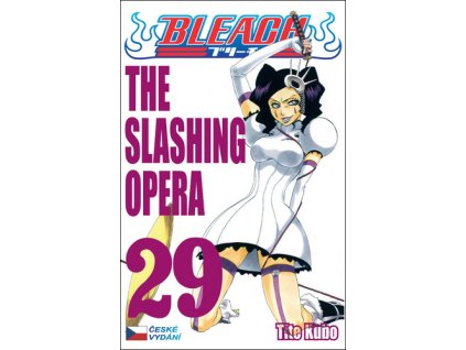 Bleach 29