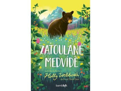 Zatoulané medvídě