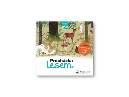 Procházka lesem