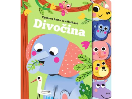 Divočina