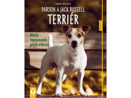 Parson a Jack Russell teriér