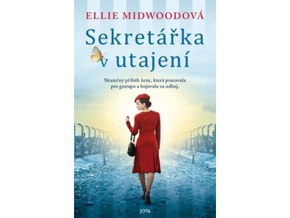 Sekretářka v utajení
