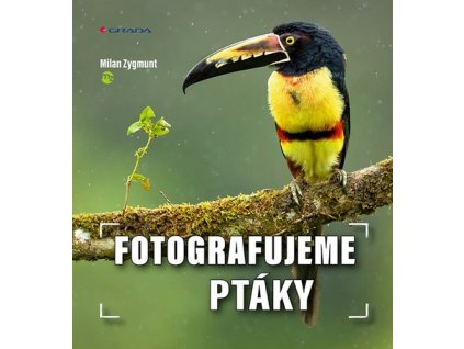 Fotografujeme ptáky