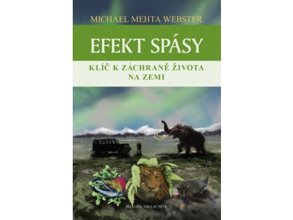 Efekt spásy