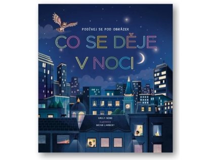 Co se děje v noci