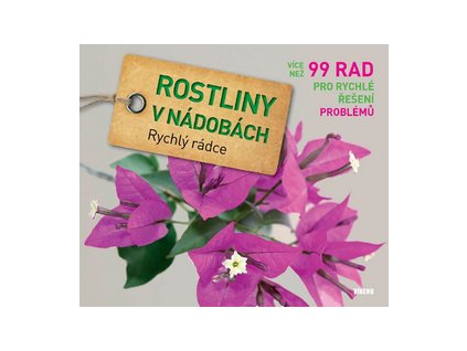 Rostiny v nádobách