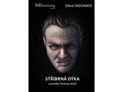 Stříbrná dýka