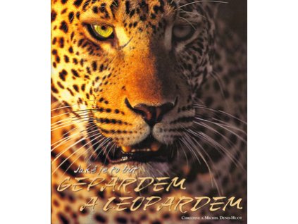 Jaké je to být gepardem a leopardem