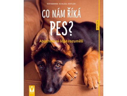 Co nám říká pes?