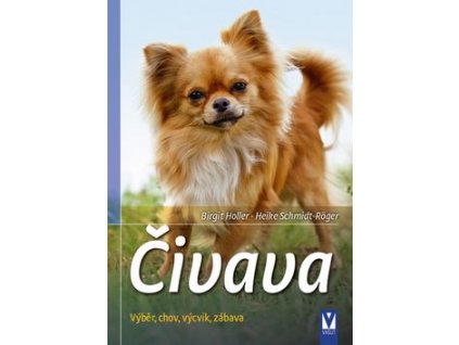 Čivava