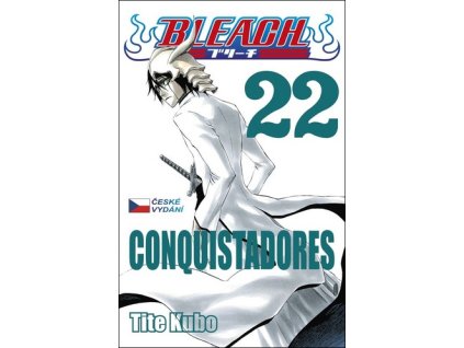 Bleach 22