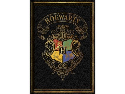 Blok A5 Harry Potter Colourful černý