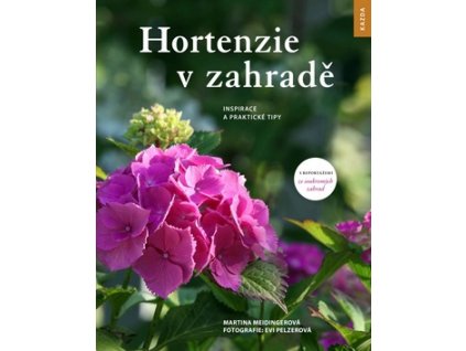 Hortenzie v zahradě