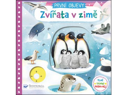 První objevy Zvířata v zimě